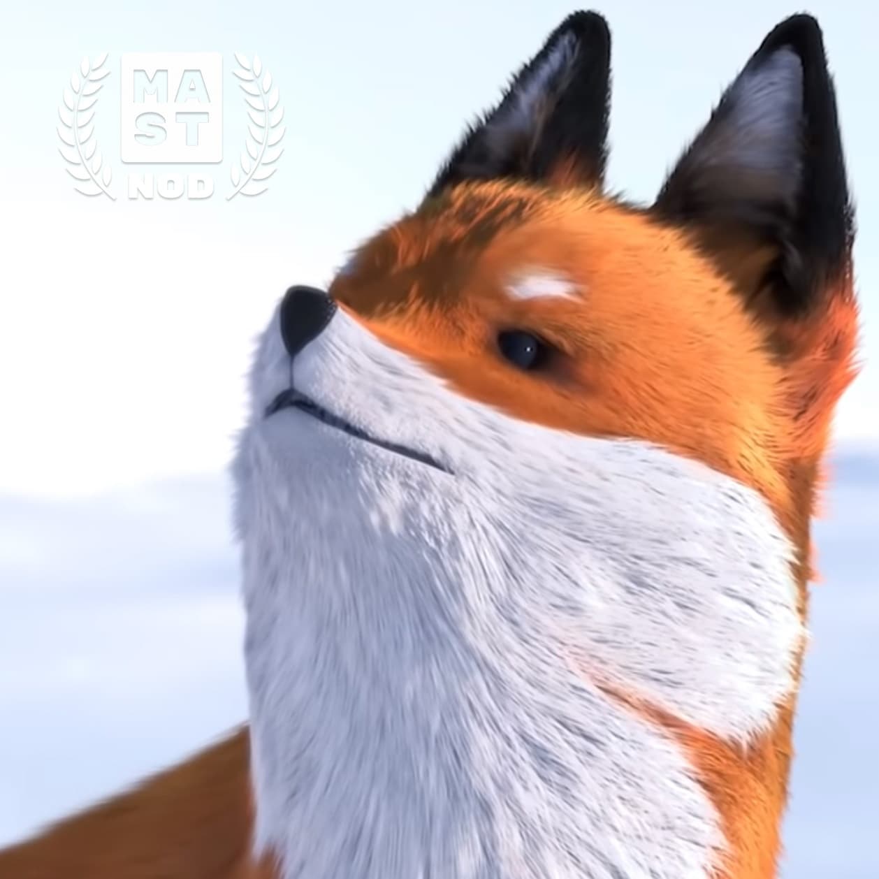 A Fox And A Mouse